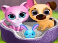 เพื่อนสัตว์เลี้ยงน่ารัก เกมออนไลน์