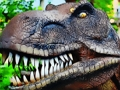 จิ๊กซอว์ Tyrannosaurus Rex Carnivore Jigsaw  เกมออนไลน์