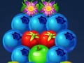 นักกีฬาฟองผลไม้  เกมออนไลน์