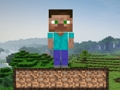 การอยู่รอดของไมน์คราฟต์  เกมออนไลน์
