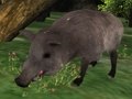 จิ๊กซอว์ล่าหมูป่า เกมออนไลน์