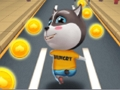 นักวิ่งสัตว์เลี้ยง เกมออนไลน์