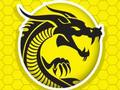 ความโกรธของกังฟู เกมออนไลน์