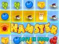 แฮมสเตอร์หายไปในอาหาร เกมออนไลน์