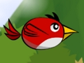 พนังนก  เกมออนไลน์