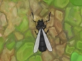 อันทวาร. io  เกมออนไลน์