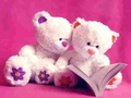 สไลด์หมีน่ารัก เกมออนไลน์