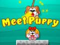 พบลูกสุนัข เกมออนไลน์