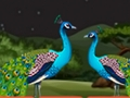 คู่ Parrot Escape  เกมออนไลน์