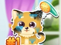 ดูแลลูกสุนัขน่าขัน เกมออนไลน์