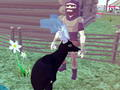 Deer Simulator 3D เกมออนไลน์