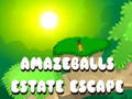 Amazeballs Escape Escape เกมออนไลน์