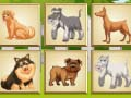 หน่วยความจำสุนัข  เกมออนไลน์