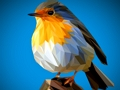จิ๊กซอว์ Poly Birds  เกมออนไลน์