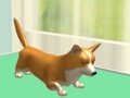 ดูแลสัตว์เลี้ยง  เกมออนไลน์