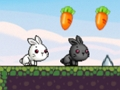 กระต่ายน่ารัก  เกมออนไลน์