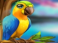 การหลบหนีของนกแก้วตัวน้อย เกมออนไลน์