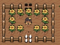 ชาร์ลอตต์แวลลีย์  เกมออนไลน์