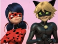ปริศนาจิ๊กซอว์ Ladybug & Cat Noir มหัศจรรย์  เกมออนไลน์
