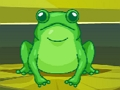 กบ Match Master  เกมออนไลน์