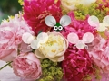 หลบหนีวอลล์เปเปอร์ Pretty Blossom  เกมออนไลน์