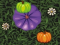 การจับคู่สีฟักทอง  เกมออนไลน์