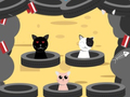 จับแมว  เกมออนไลน์