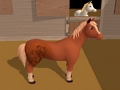 เกือกม้า  เกมออนไลน์