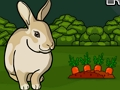 ช่วยชีวิตกระต่ายสีเทา  เกมออนไลน์