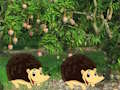 หลบหนีจากฟาร์มมะม่วง  เกมออนไลน์