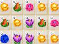รวมดอกไม้  เกมออนไลน์