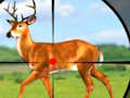 เกมล่าสัตว์ล่าสัตว์ป่า 3D  เกมออนไลน์