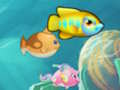 กินปลาตัวเล็ก  เกมออนไลน์