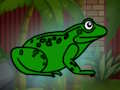 ช่วยเหลือคางคกเขียวจากดันเจี้ยน  เกมออนไลน์