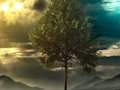 หนีภาพลวงตาป่านางฟ้า  เกมออนไลน์