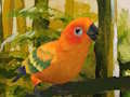 ปริศนา Budgie น่ารัก  เกมออนไลน์