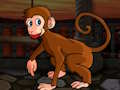 ลิงแสมตัวเล็กหลบหนี  เกมออนไลน์