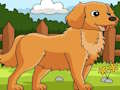 สุนัขมองเห็นความแตกต่าง  เกมออนไลน์