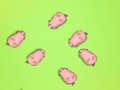 บันทึก Piggies  เกมออนไลน์