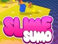 ซูโม่สไลม์ 3D  เกมออนไลน์