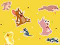 การแสดง Tom and Jerry พบมัน!  เกมออนไลน์