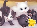 ปริศนาจิ๊กซอว์: การเล่นแมว  เกมออนไลน์