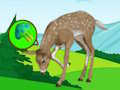 หลบหนีทุ่งหญ้ากวาง  เกมออนไลน์