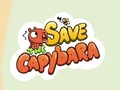บันทึกคาปิบารา  เกมออนไลน์