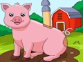 สัตว์: ค้นหาความแตกต่าง  เกมออนไลน์