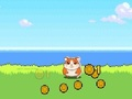 หนูแฮมสเตอร์ คอมแบท คลิกเกอร์  เกมออนไลน์