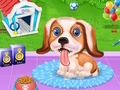 ร้านลูกสุนัขเพื่อนสัตว์เลี้ยงสุนัข  เกมออนไลน์