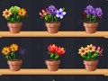 อาจารย์ดอกไม้ที่ดี  เกมออนไลน์