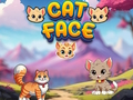 หน้าแมว  เกมออนไลน์