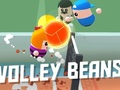 ถั่ววอลเล่ย์  เกมออนไลน์
